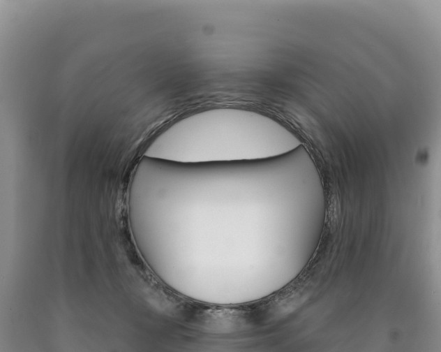 X0000090890367200707271043