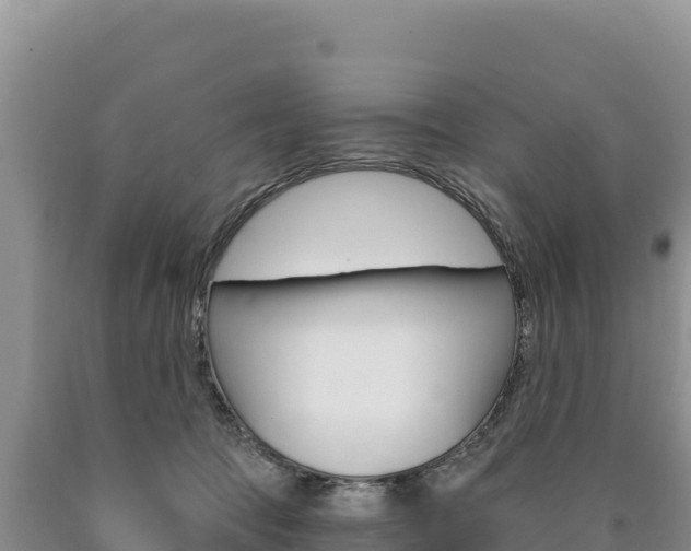 X0000090890369200707271044