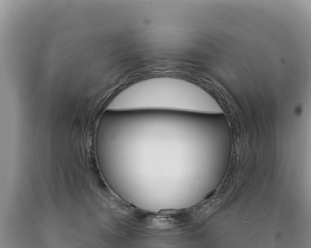 X0000090890372200707271044