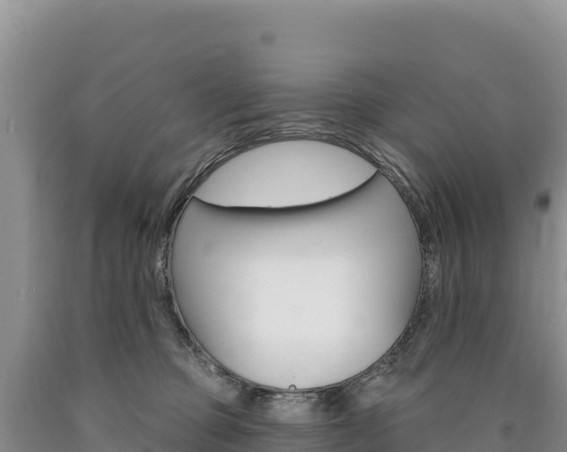 X0000090890373200707271044