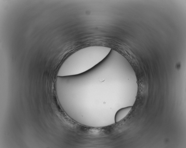X0000090890375200707271044