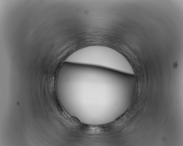 X0000090890376200707271044