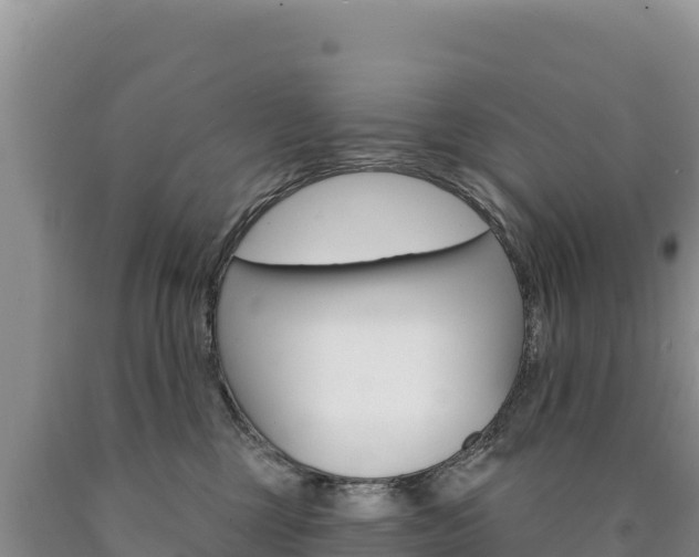 X0000090890377200707271044