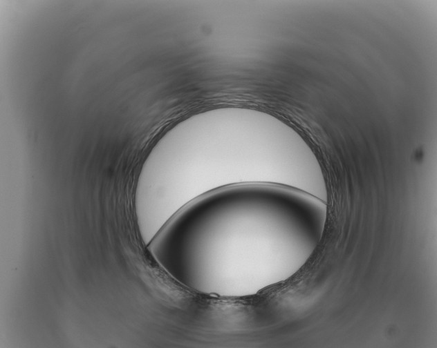 X0000090890380200707271044