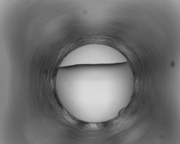 X0000090890381200707271044
