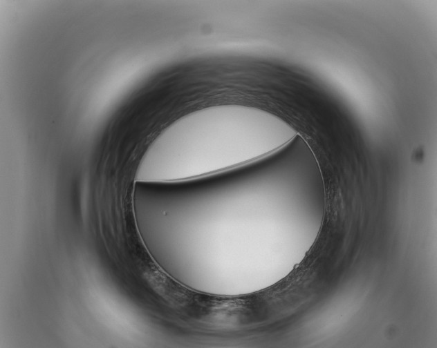 X0000090890382200707271044