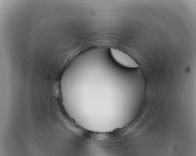 X0000090890383200707271044