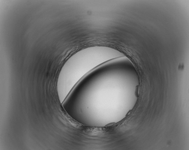 X0000090890384200707271044