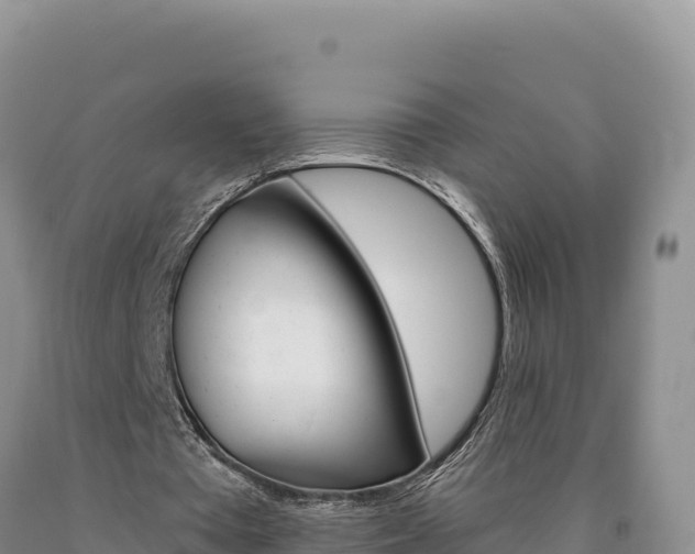 X0000090890385200707271043