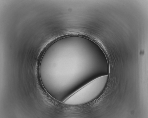 X0000090890387200707271043