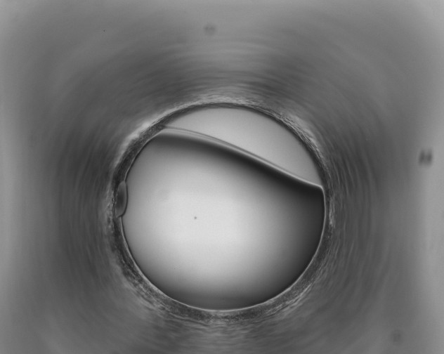 X0000090890388200707271043