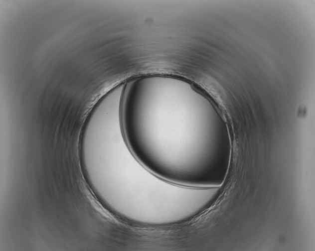 X0000090890389200707271043