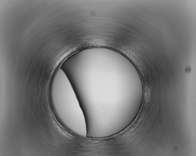 X0000090890390200707271043