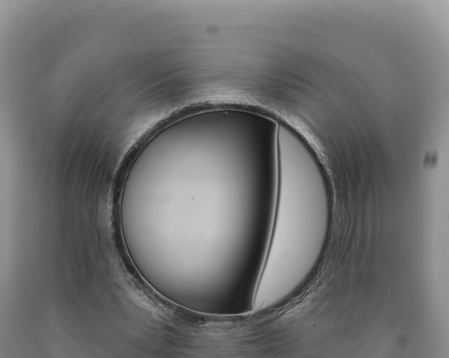 X0000090890391200707271043