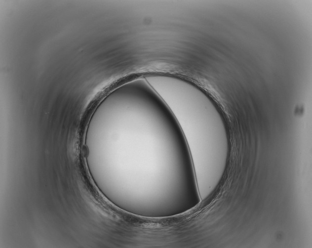 X0000090890392200707271043