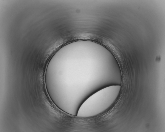 X0000090890394200707271043