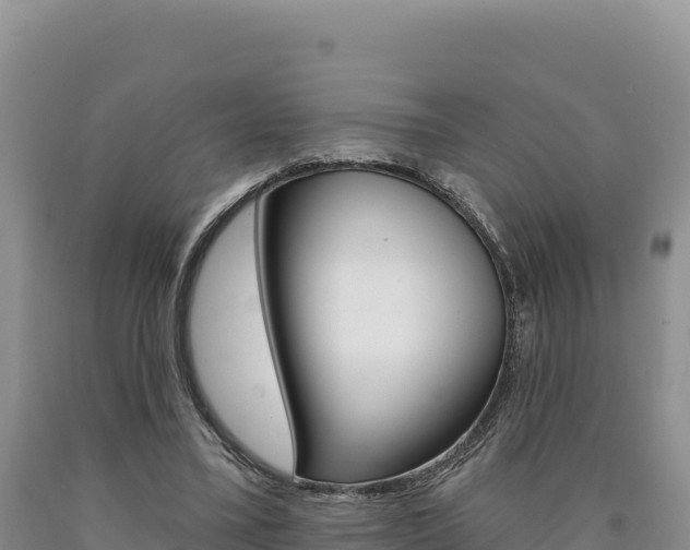 X0000090890395200707271043