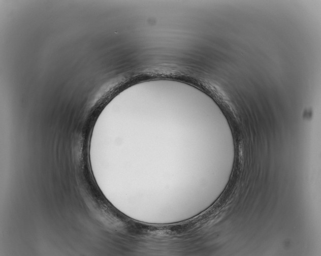 X0000090890396200707271043