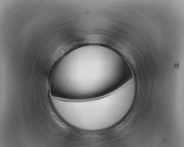 X0000090890397200707271043