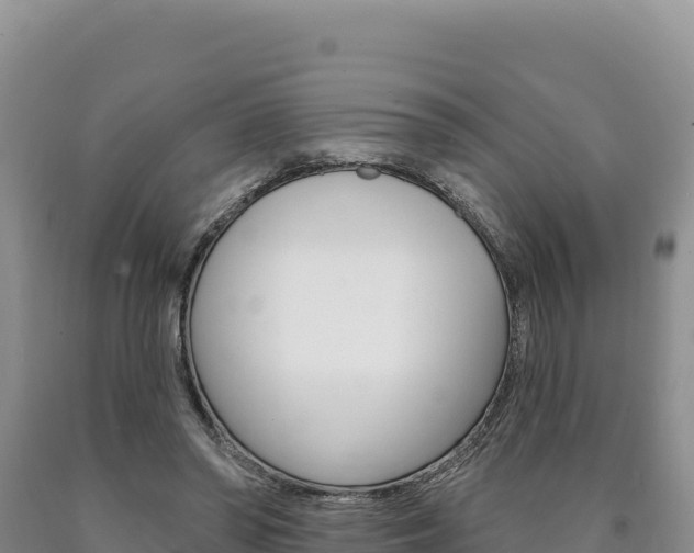 X0000090890398200707271043