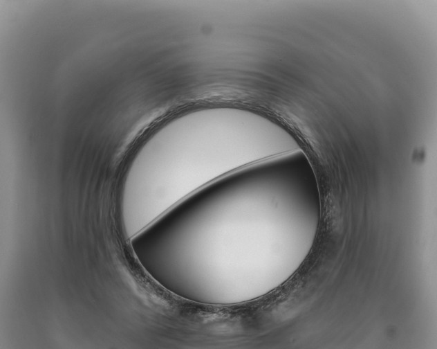 X0000090890400200707271043