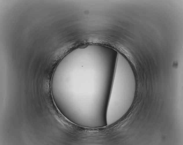 X0000090890401200707271043