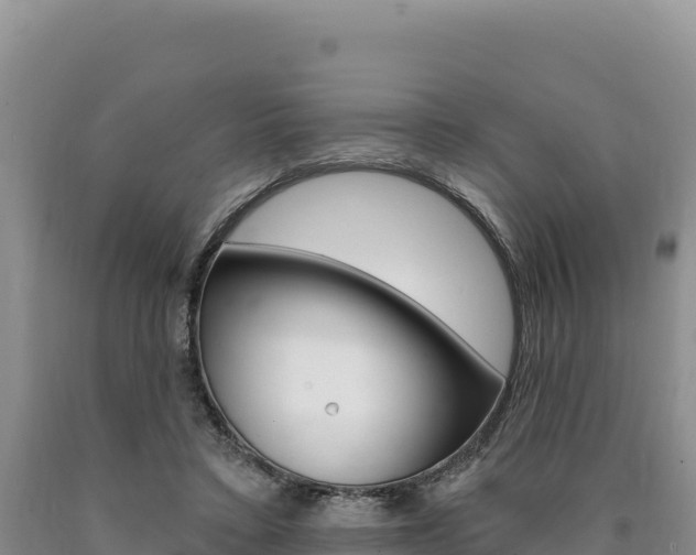 X0000090890403200707271043