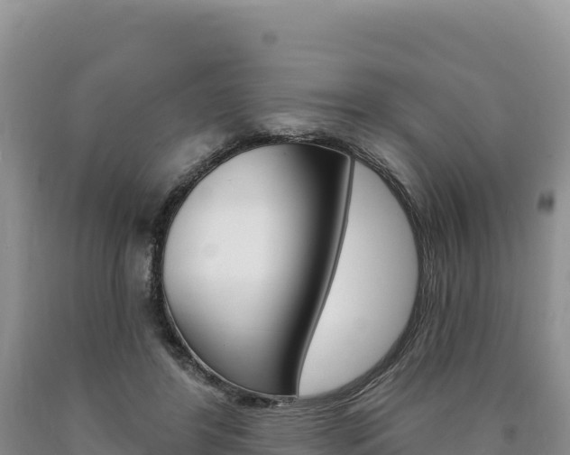 X0000090890404200707271043