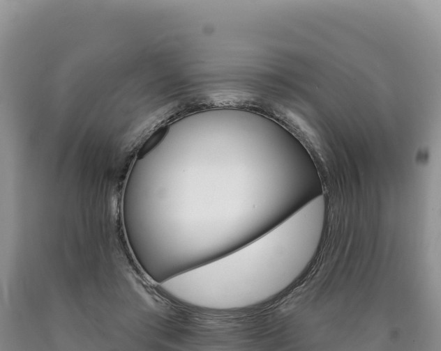 X0000090890405200707271043