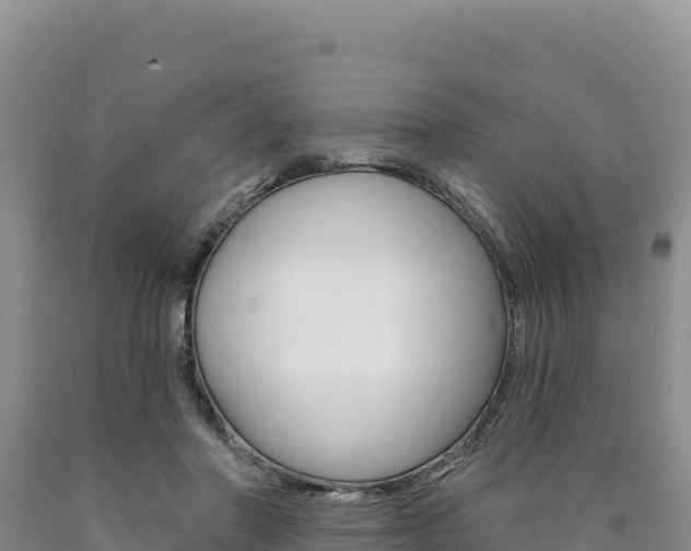 X0000090890406200707271043