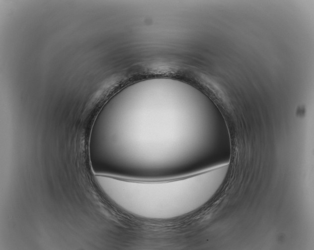 X0000090890407200707271043