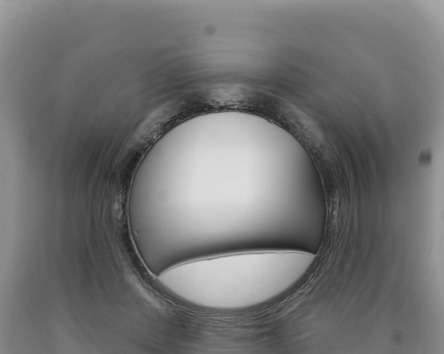 X0000090890408200707271043