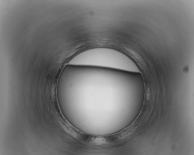 X0000090890409200707271043