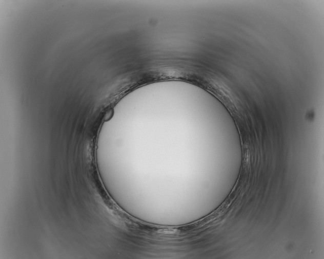 X0000090890410200707271043