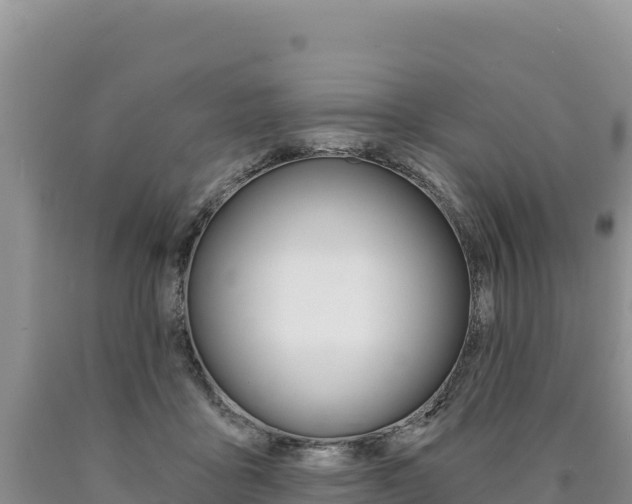 X0000090890411200707271043