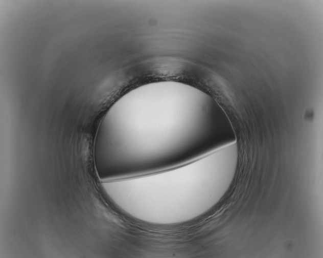 X0000090890412200707271043