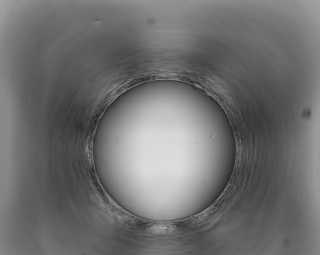 X0000090890415200707271043