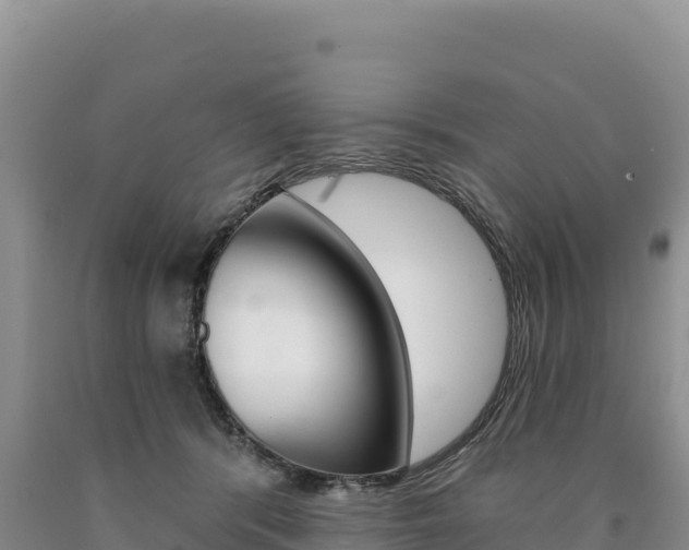 X0000090890416200707271043