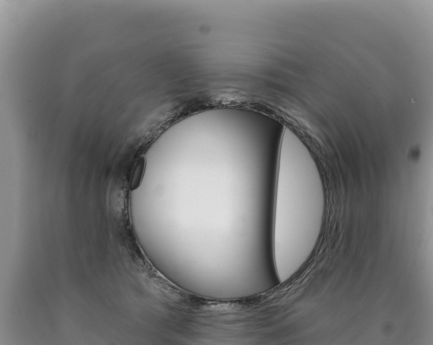 X0000090890417200707271043