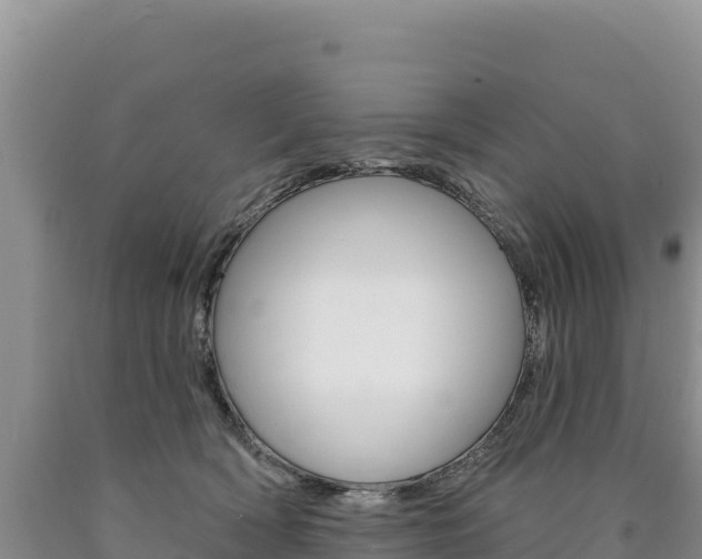 X0000090890418200707271043