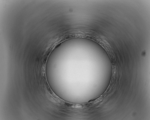 X0000090890419200707271043