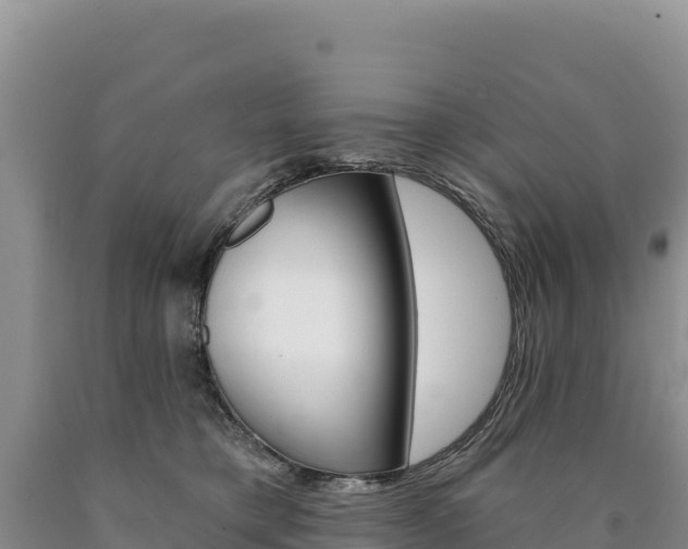X0000090890421200707271042
