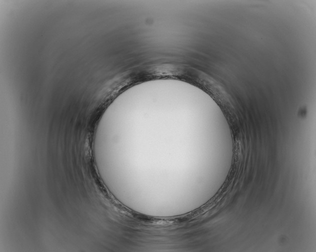 X0000090890422200707271042