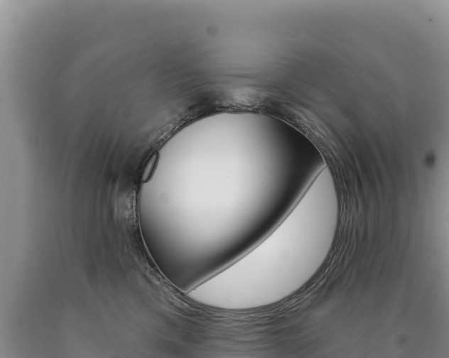 X0000090890425200707271042