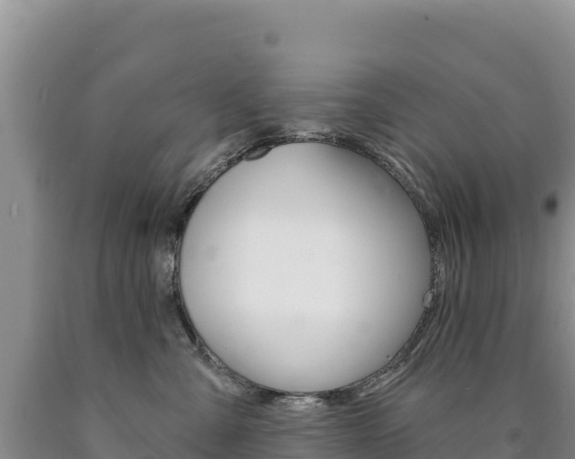 X0000090890427200707271042