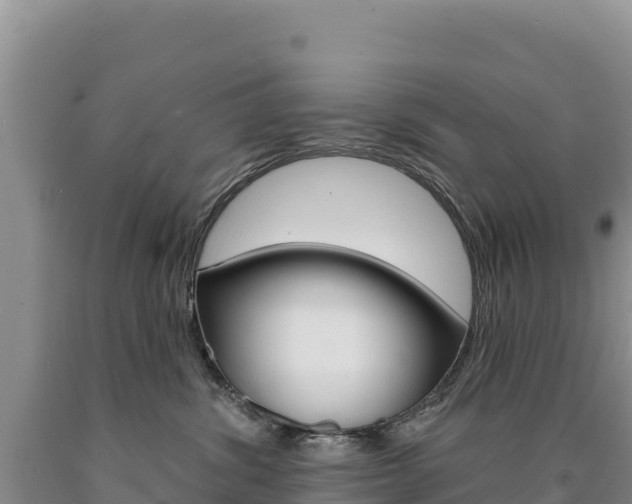 X0000090890428200707271042