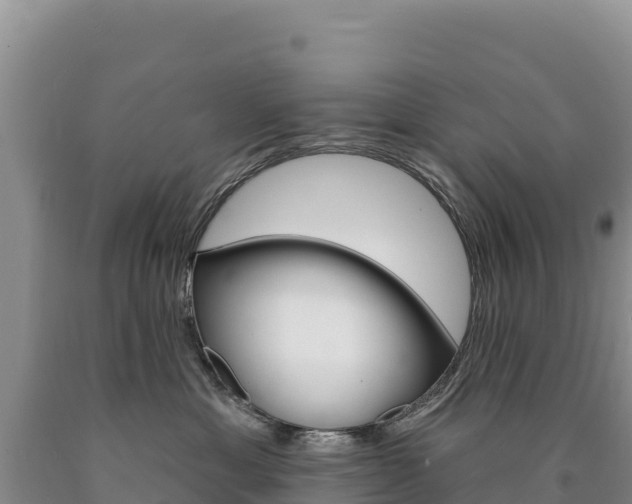 X0000090890429200707271042