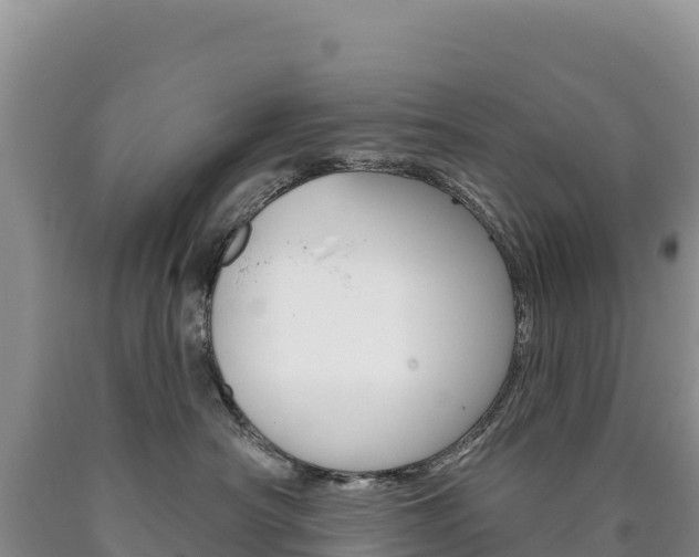 X0000090890430200707271042