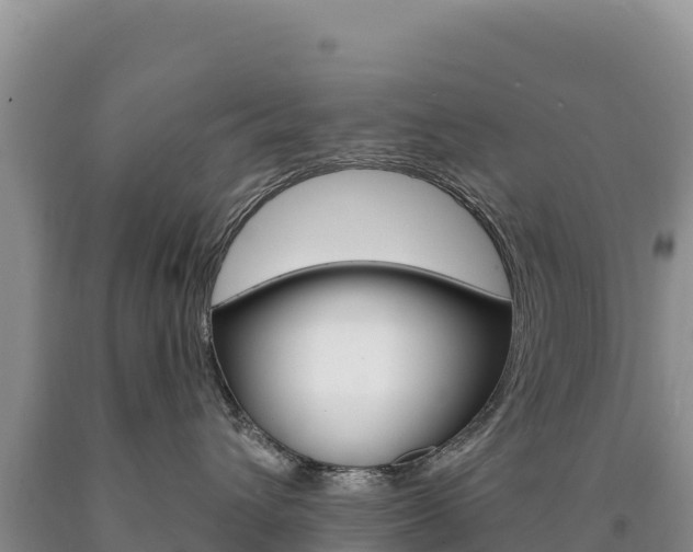 X0000090890432200707271042