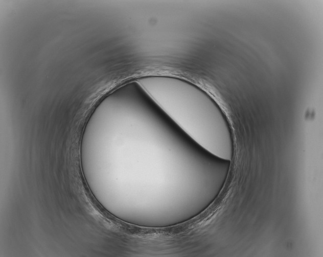 X0000090890433200707271042